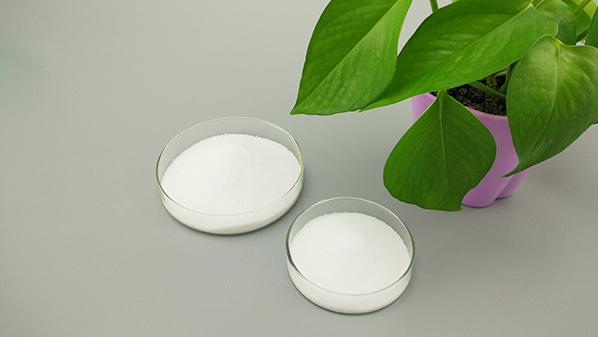 除了提供優(yōu)質(zhì)聚乙烯蠟，賽諾新材更注重服務(wù)